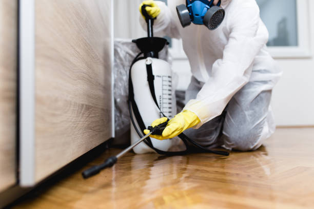 Reliable Hernando, MS Pest Control Solutions