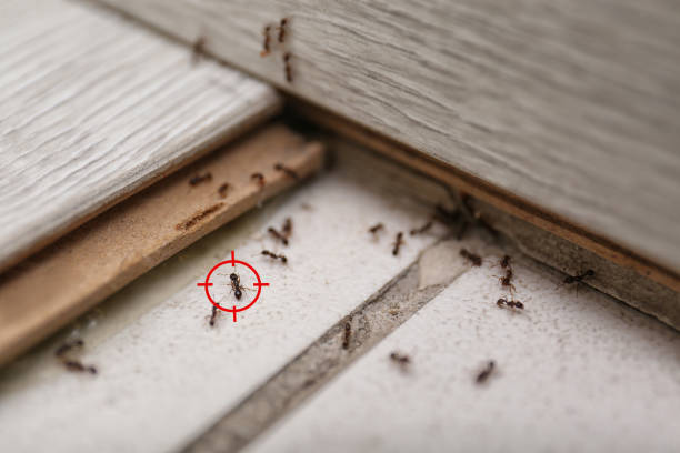 Best Wildlife Control Services  in Hernando, MS